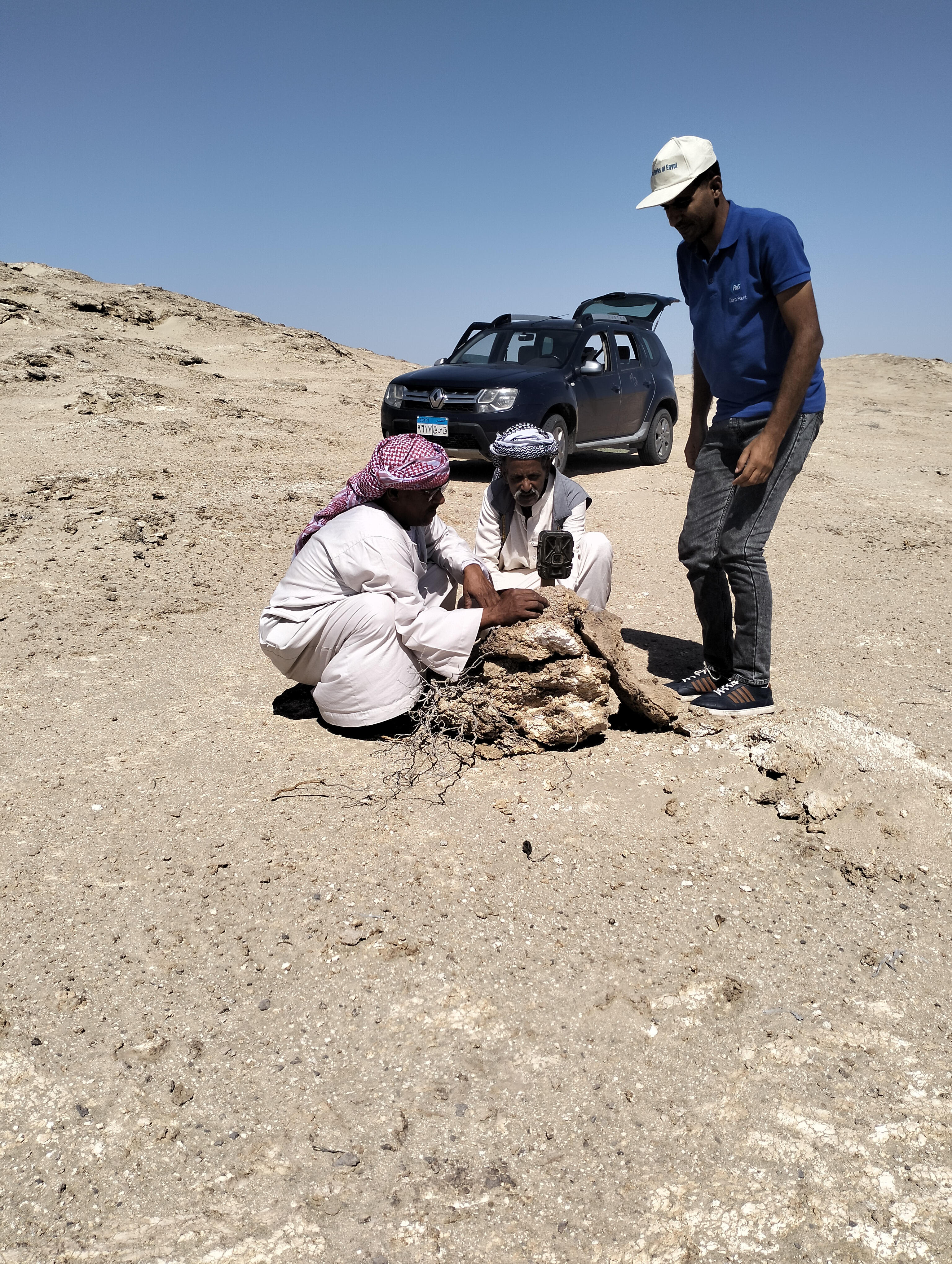 Field team installing camera trap - Siwa Oasis, Western Desert of Egypt