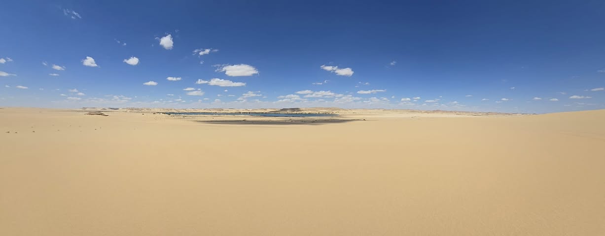 Desert ecosystem fieldwork